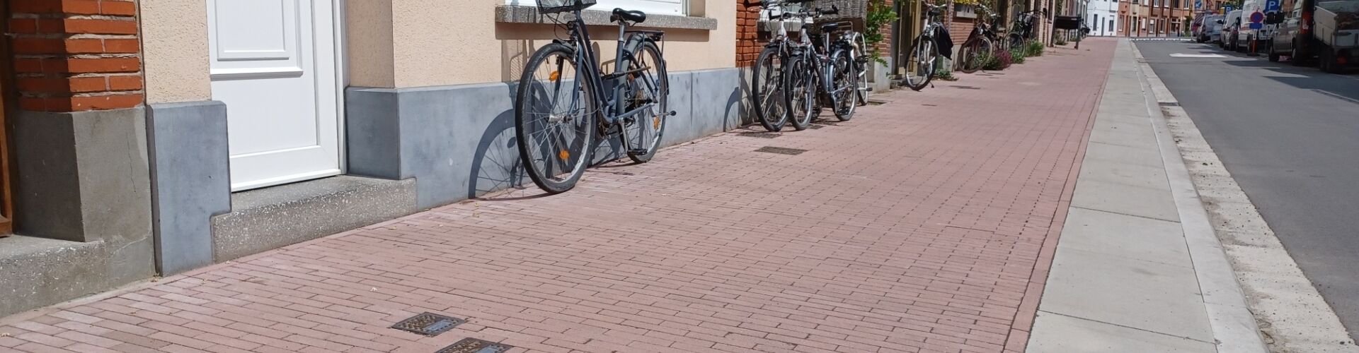 Rode waaltjes geven Brugsepoort karakter