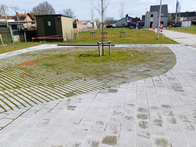 20240328 104030 resized 2