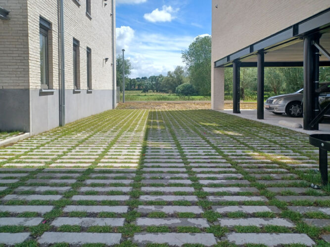 20250707 151455 resized