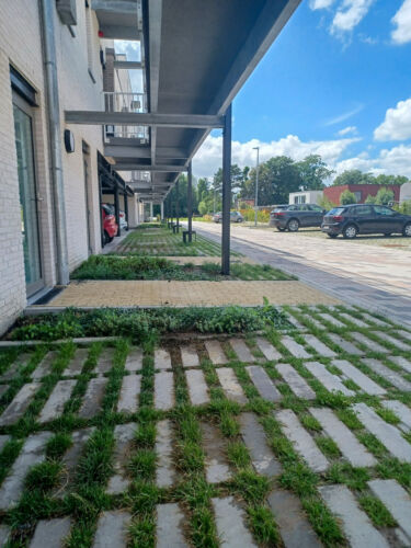 20250707 151642 resized