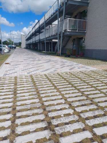 20250707 151807 resized