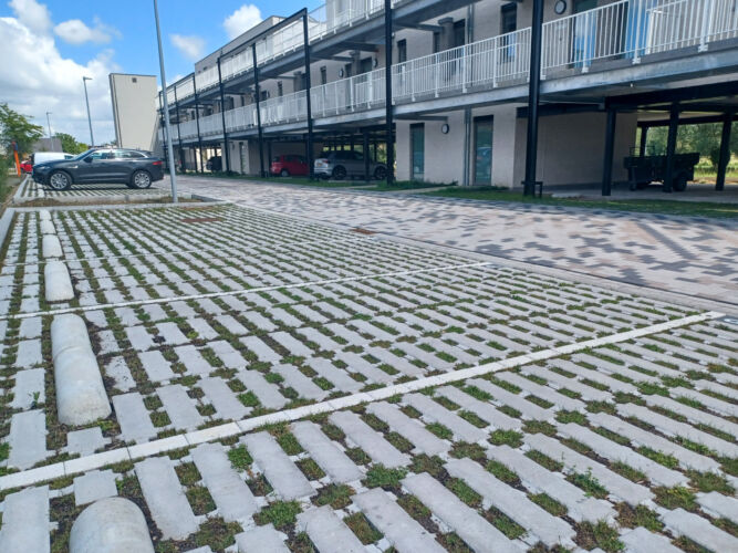 20250707 152255 resized