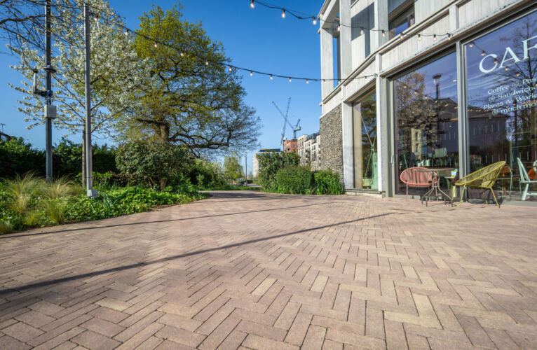 DSC05830 Dx O Deep PRIME 3 topaz sharpen