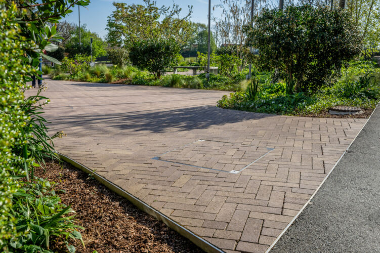 DSC05929 Dx O Deep PRIME 3